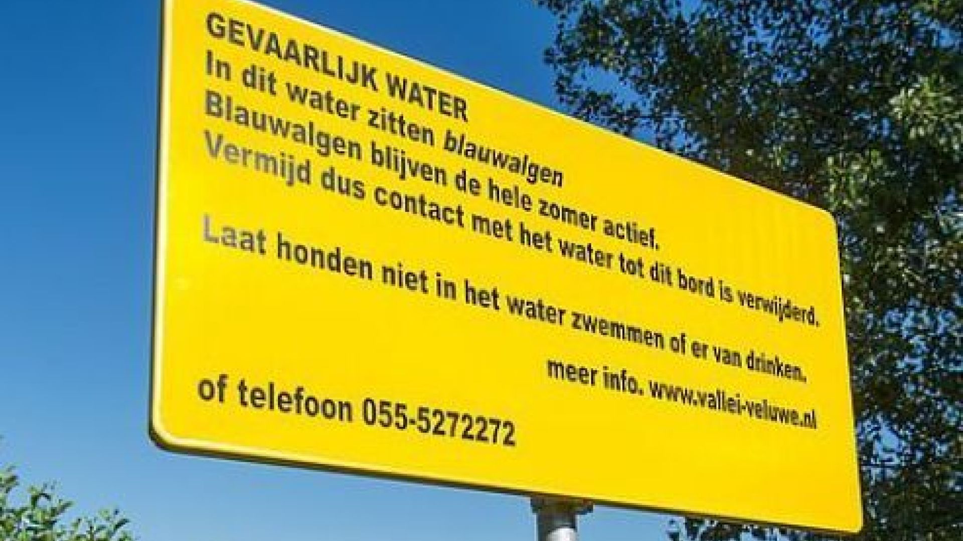 Gemeente Ede