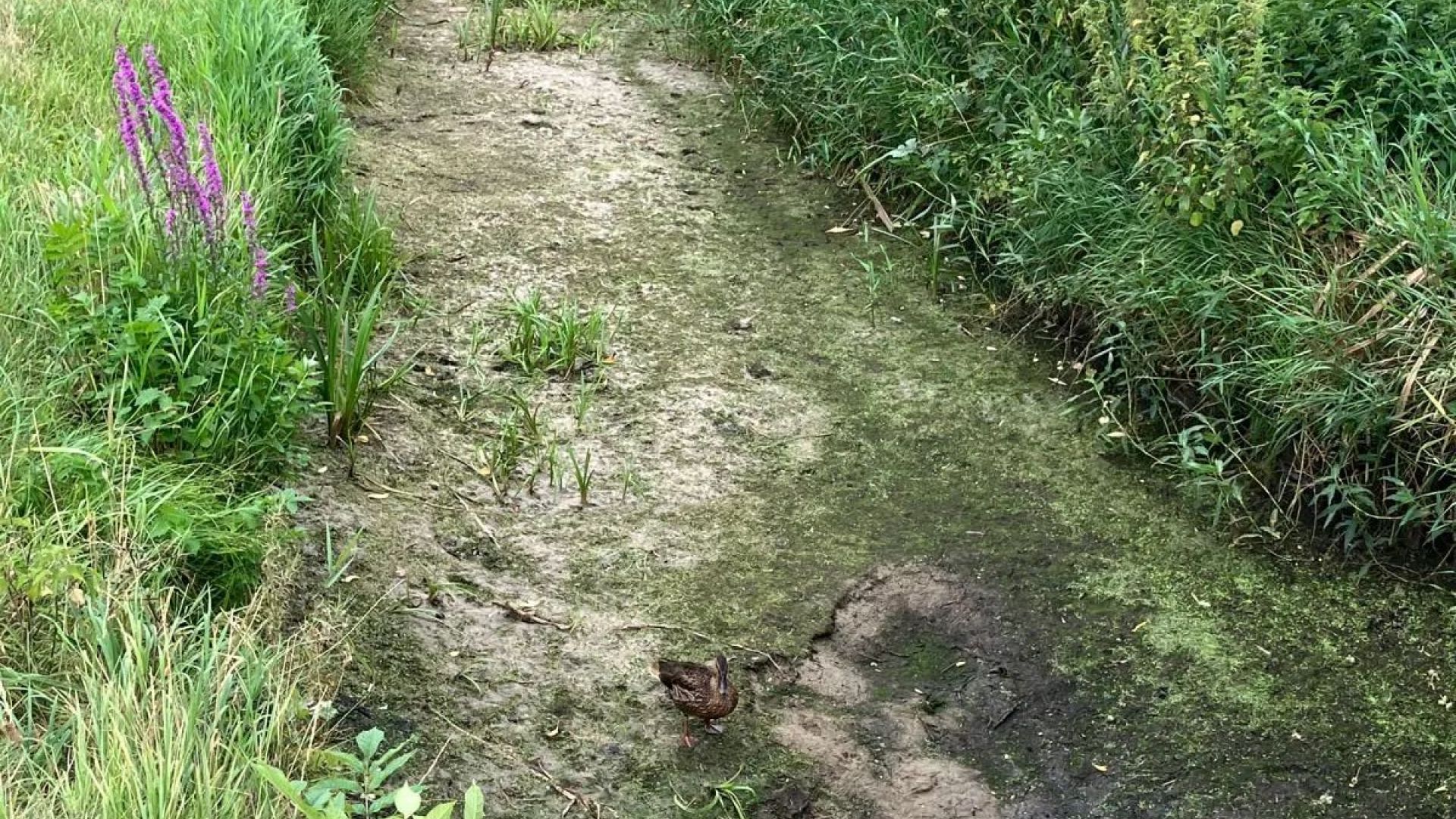 Waterschap Vallei en Veluwe