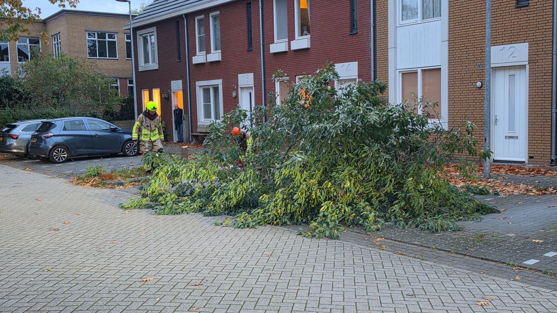 Persbureau Heitink