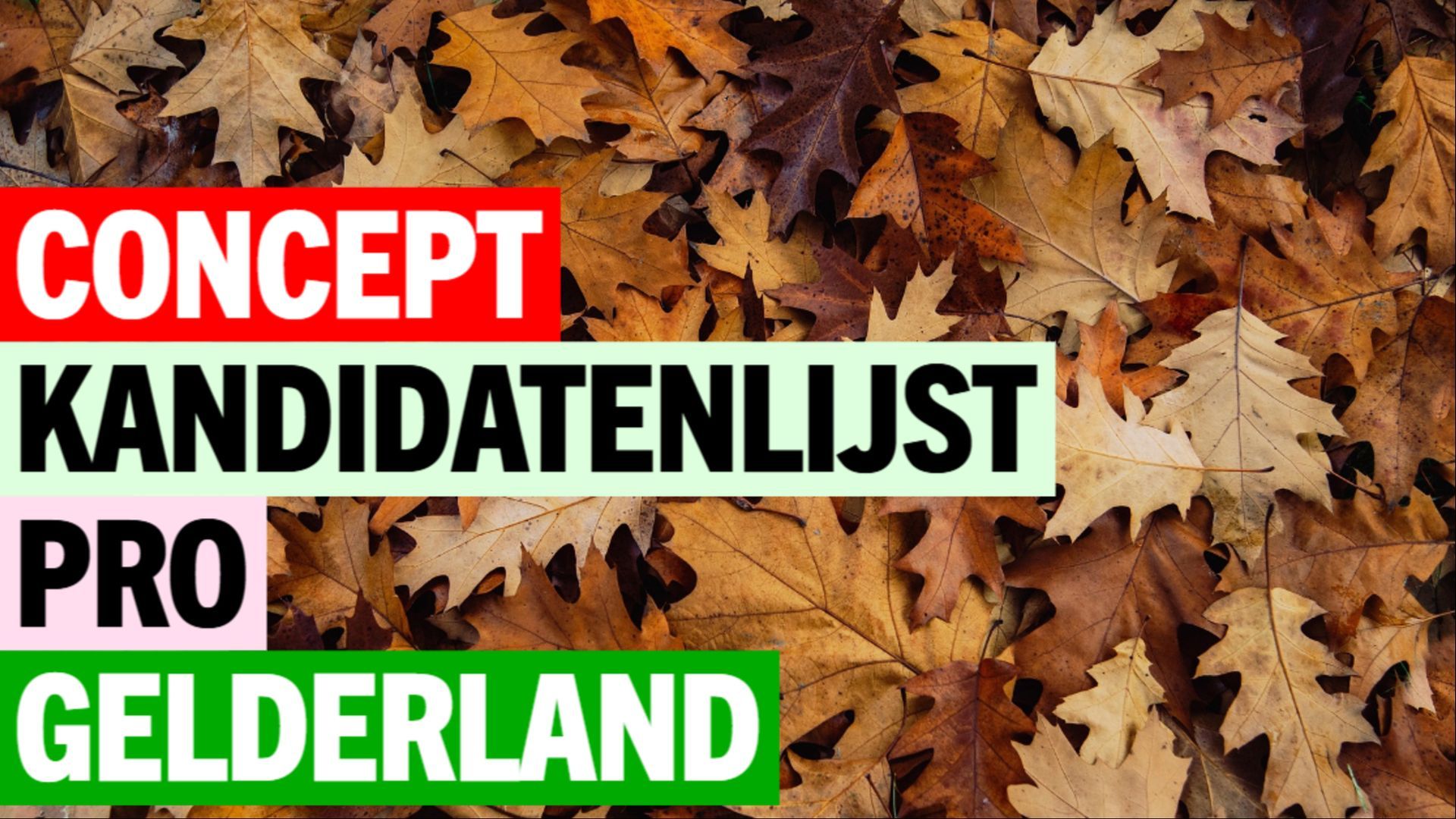 PRO Gelderland